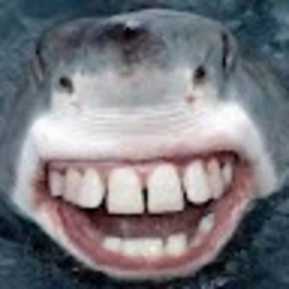 sharkyhypebeast